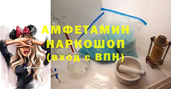 гидра Надым