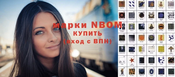 гидра Надым