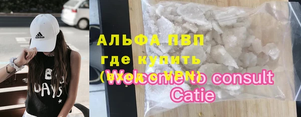 гидра Надым