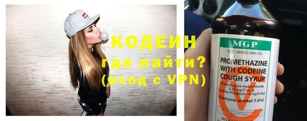 гидра Надым