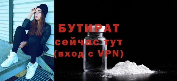 гидра Надым