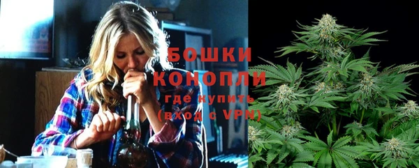 гидра Надым