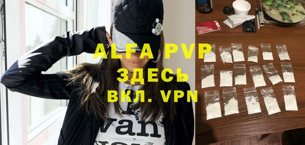 гидра Надым