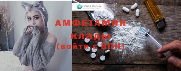 гидра Надым