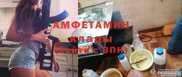 гидра Надым