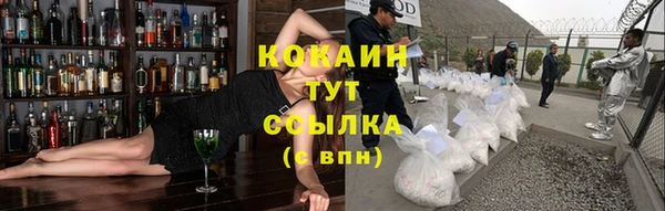 гидра Надым