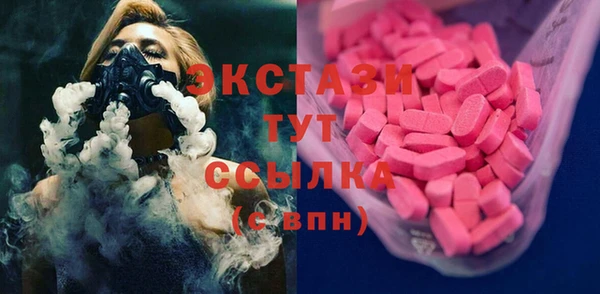 гидра Надым