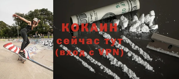 гидра Надым