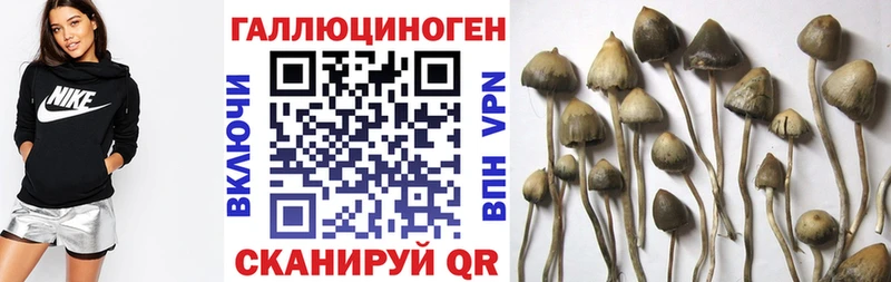 Галлюциногенные грибы Magic Shrooms  Купить где  Людиново 